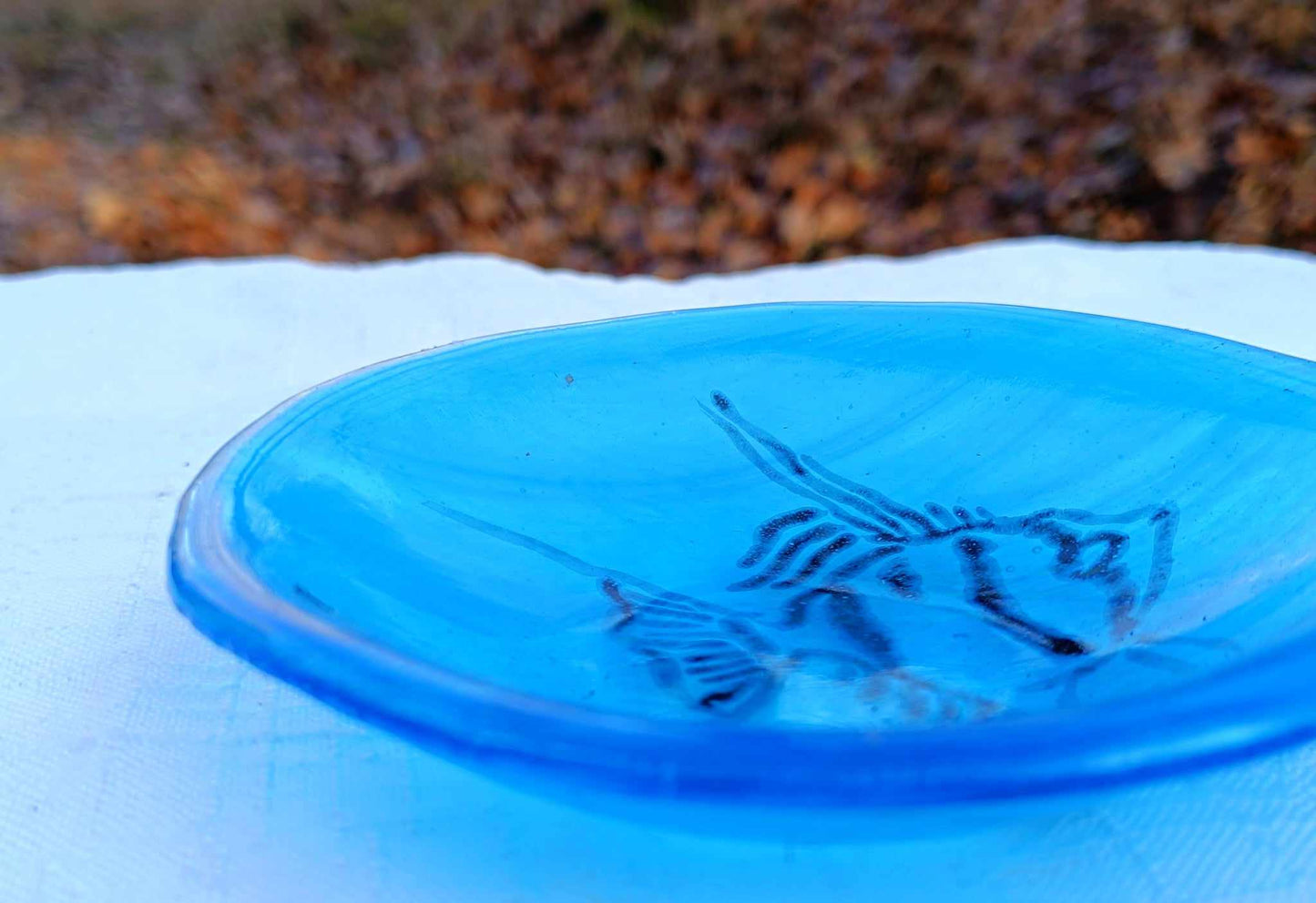 Okno w podwodnym świecie - miseczka